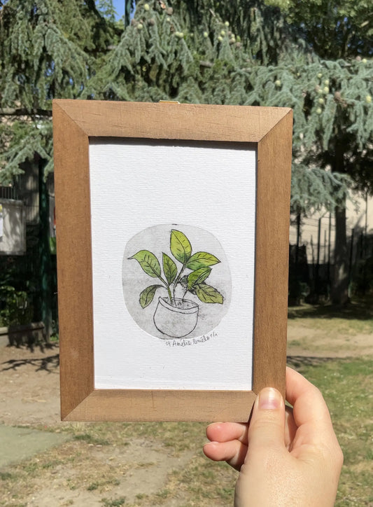 Gravure sur tétrapack représentant un pot avec une plante verte. pièce unique. idéale pour un cadeau ou pour une décoration. Amoureux des plantes. 