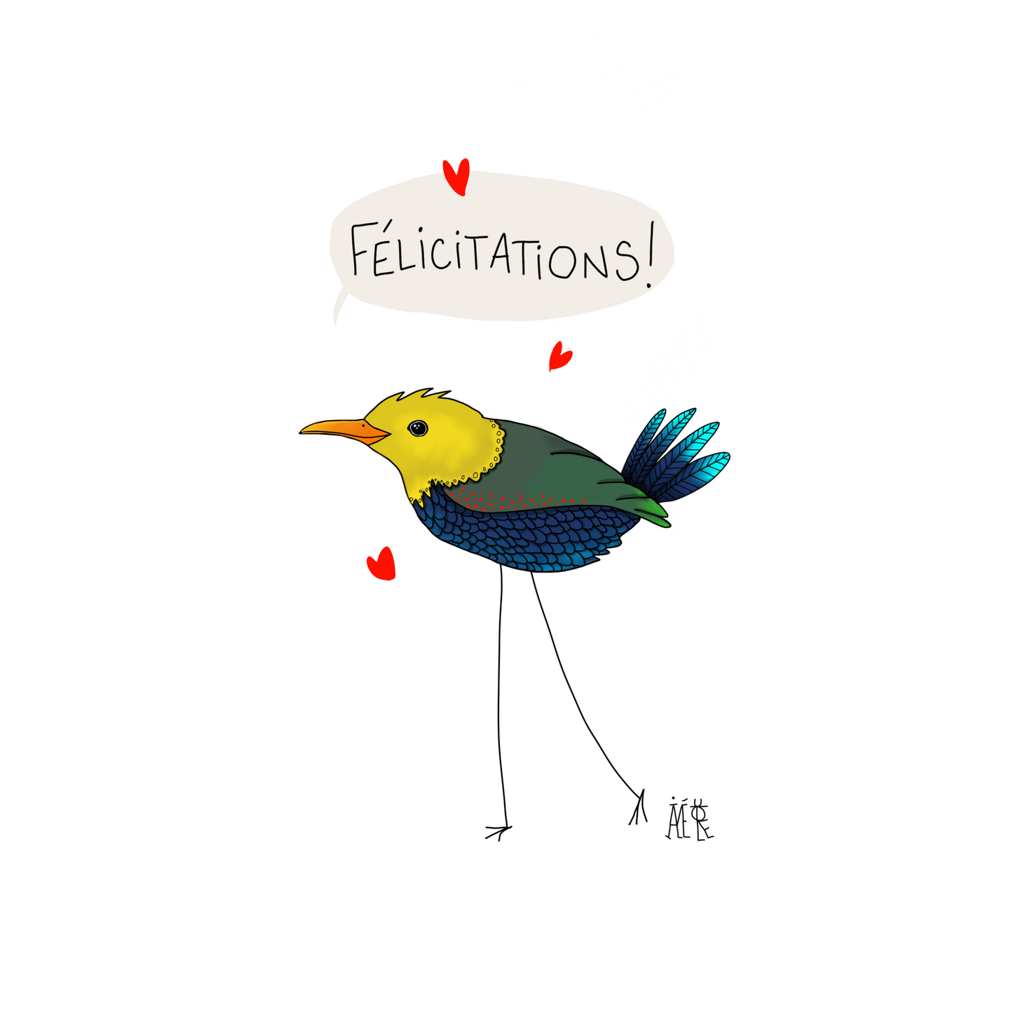 Cartes Postales de créateur, cartes avec Oiseaux colorés, cartes originales