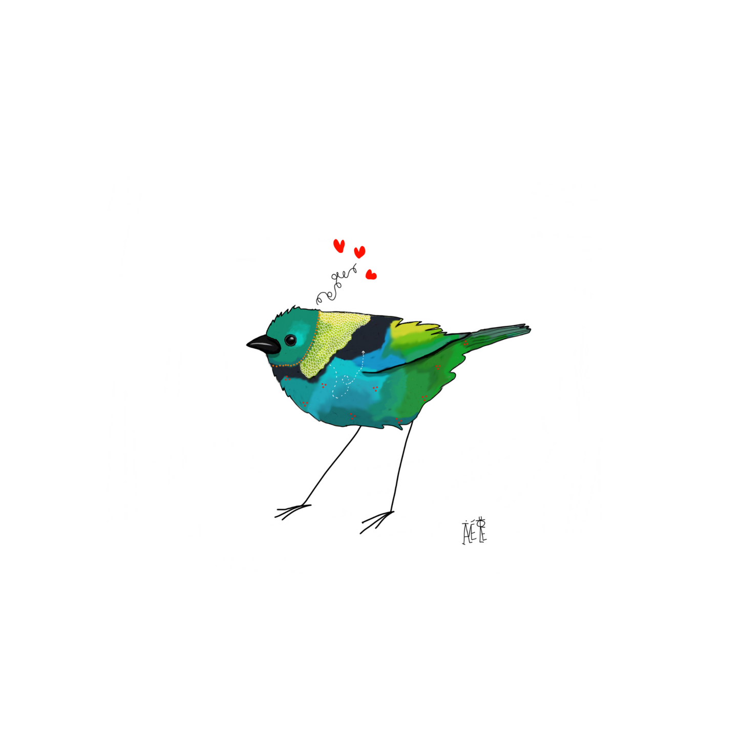 Cartes Postales de créateur, cartes avec Oiseaux colorés, cartes originales